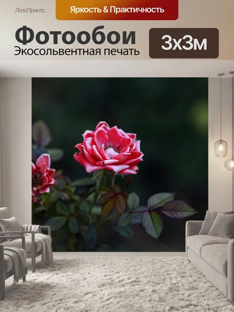 Фотообои Розы