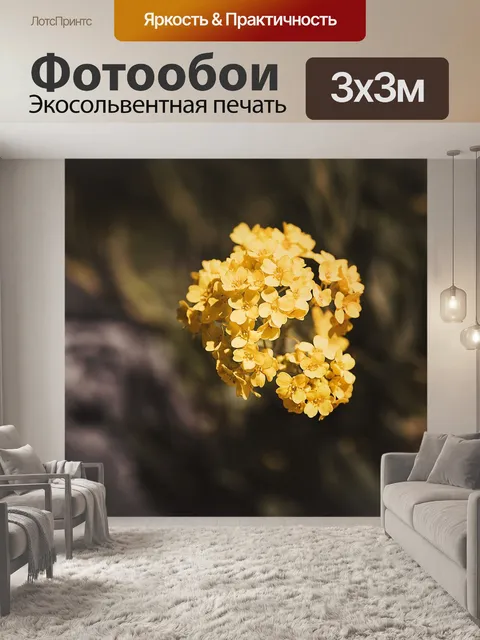 Фотообои Цветок
