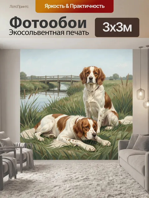 Фотообои Два спаниеля у воды