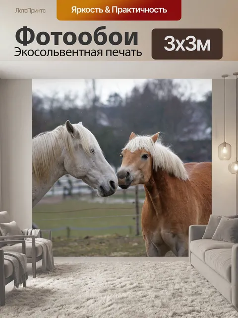 Фотообои Лошади