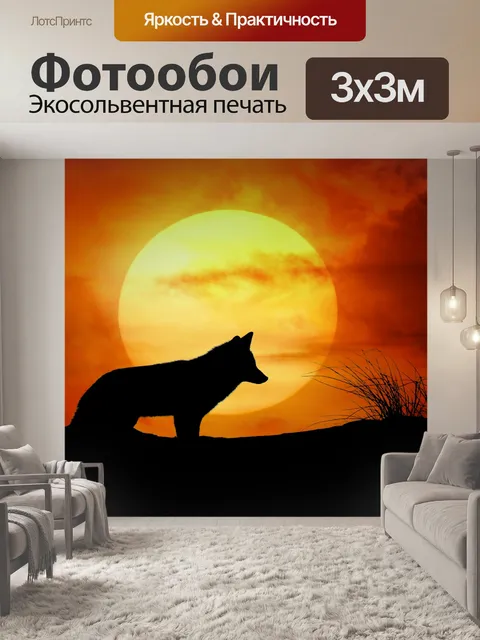Фотообои Волк закат пейзаж