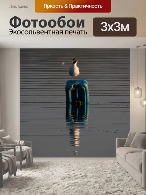 Фотообои Чайка
