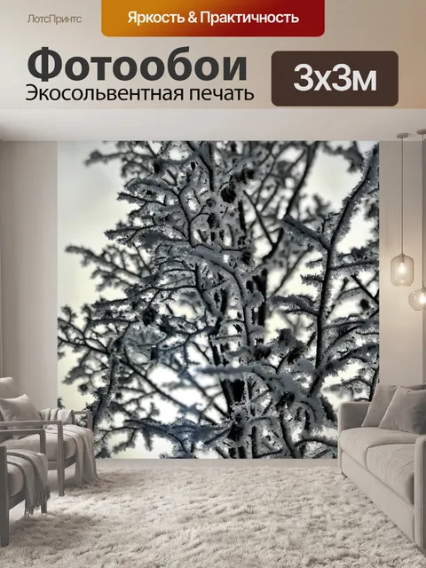 Фотообои Иней