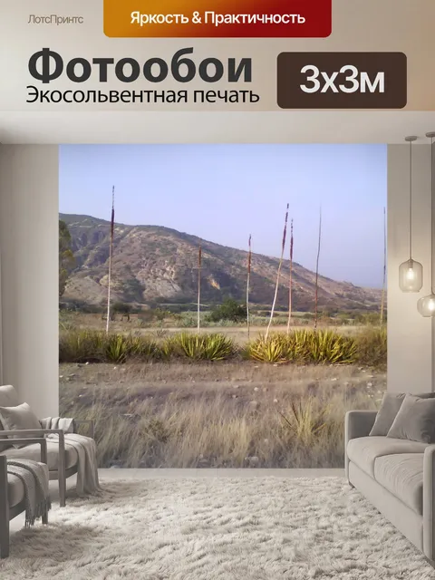 Фотообои Агава