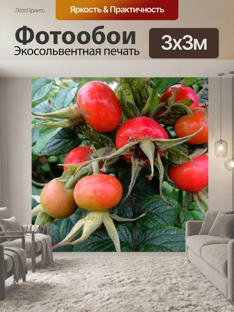 Фотообои Жизнь растений