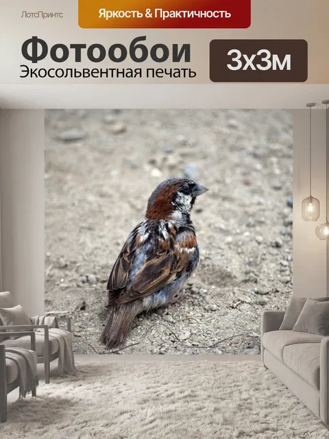 Фотообои Воробей