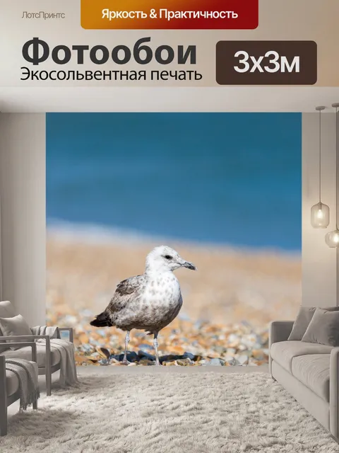 Фотообои Чайка на пляже