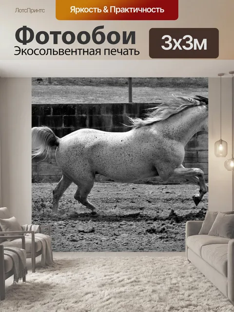 Фотообои Лошадь
