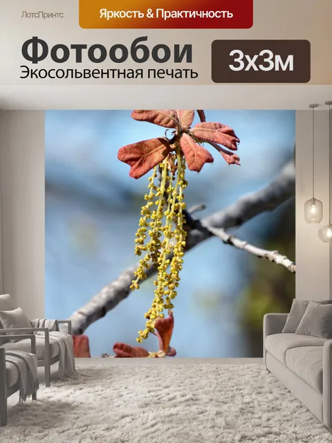 Фотообои Новый дубовый лист с кошками