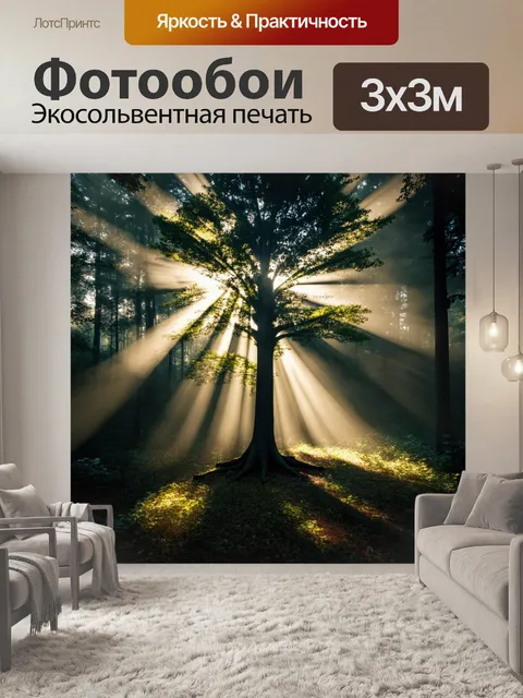 Фотообои удачно освещенное дерево с преломляющимися лучами света в тумане в лесу