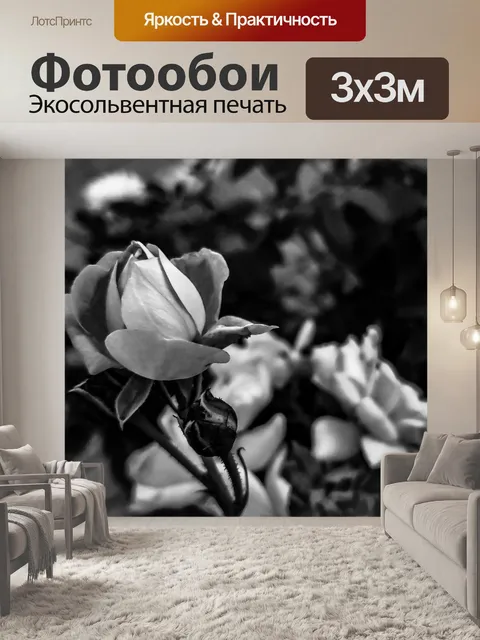 Фотообои Винтажная черно-белая роза