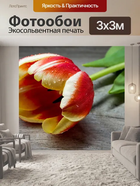 Фотообои Тюльпан