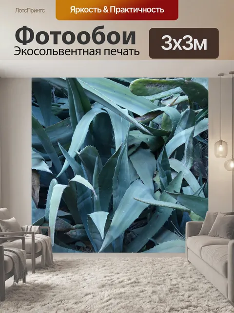Фотообои Агава