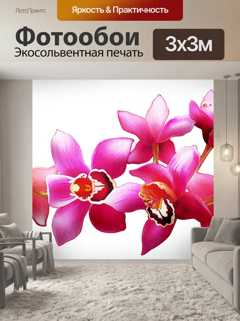 Фотообои Орхидеи