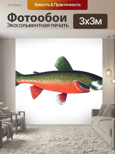 Фотообои Рыба Тропическая Винтаж