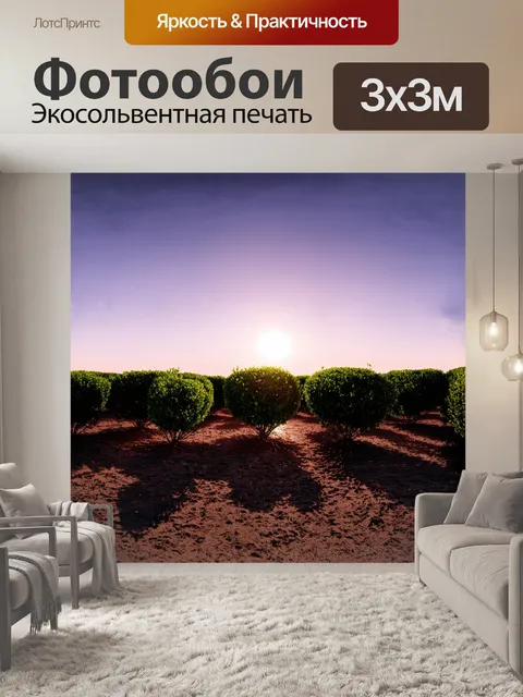 Фотообои силуэт множества кустарников, залитых лучами заката, где солнце наполовину скрыто за горизонтом