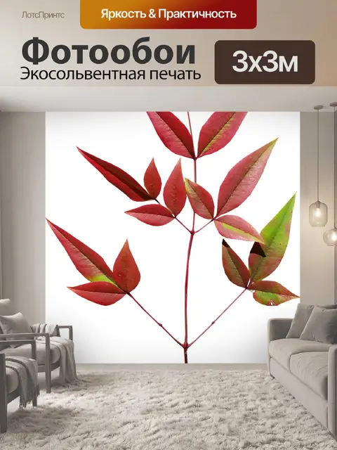 Фотообои Листья