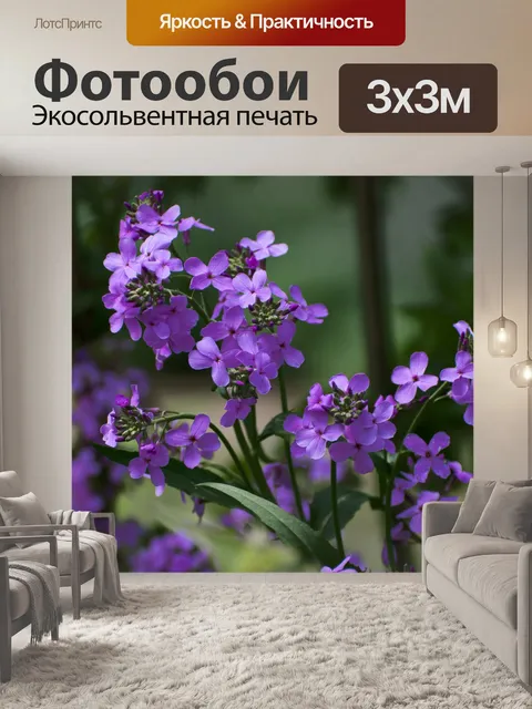 Фотообои Лепестки фиолетового цветка