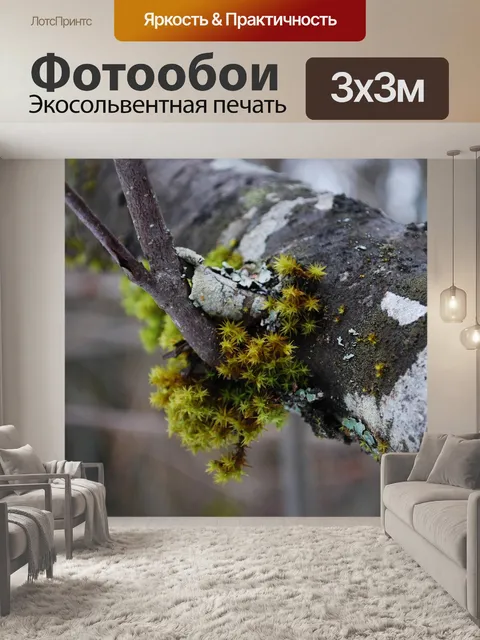 Фотообои Дерево