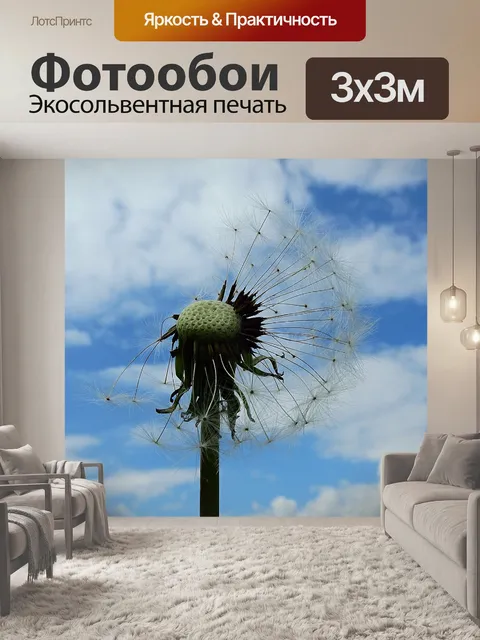 Фотообои Одуванчик