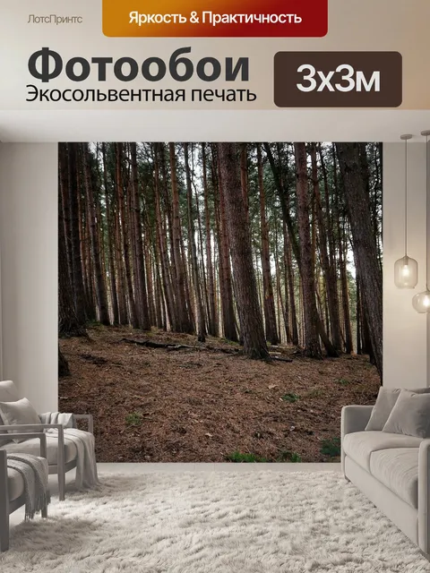 Фотообои Лес