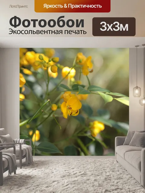 Фотообои Море