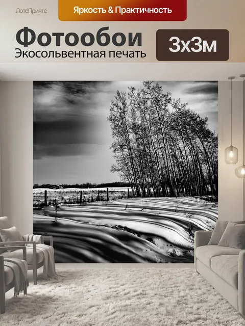 Фотообои Деревья