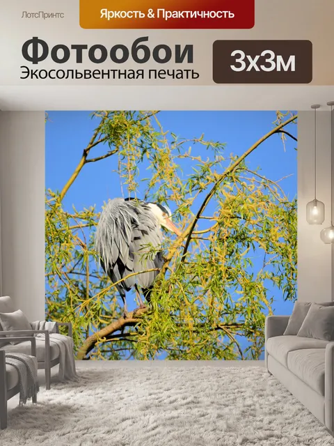 Фотообои Цапля