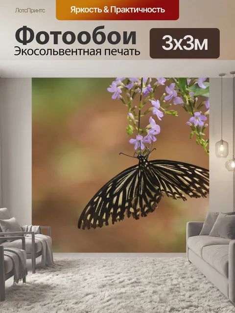 Фотообои Бабочка