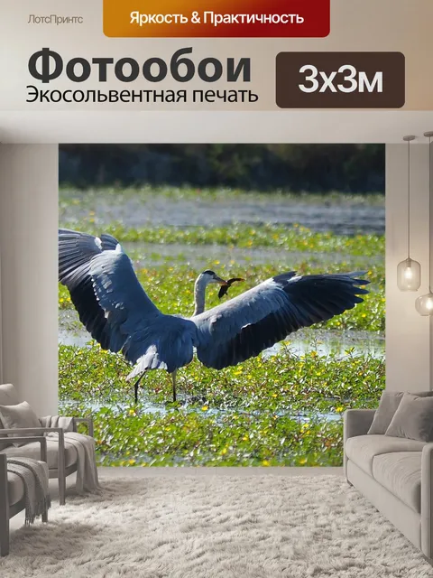 Фотообои Природа