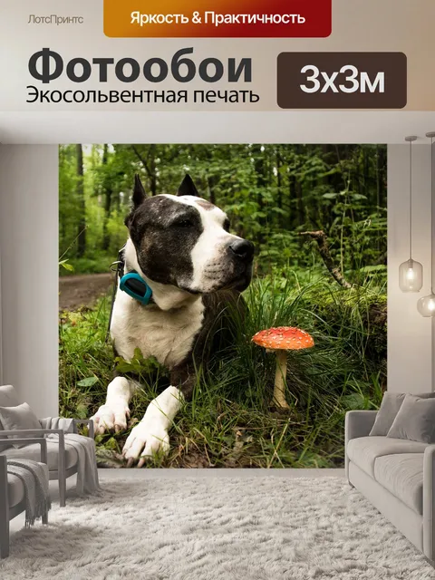 Фотообои Природа