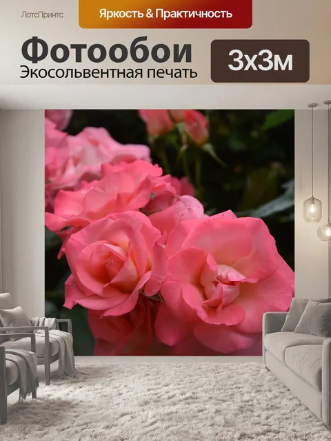 Фотообои Розы