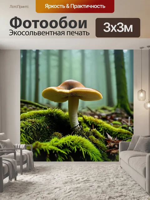 Фотообои грибы грибница в лесу, окруженные мхом и лишайниками, утопающие в утреннем тумане