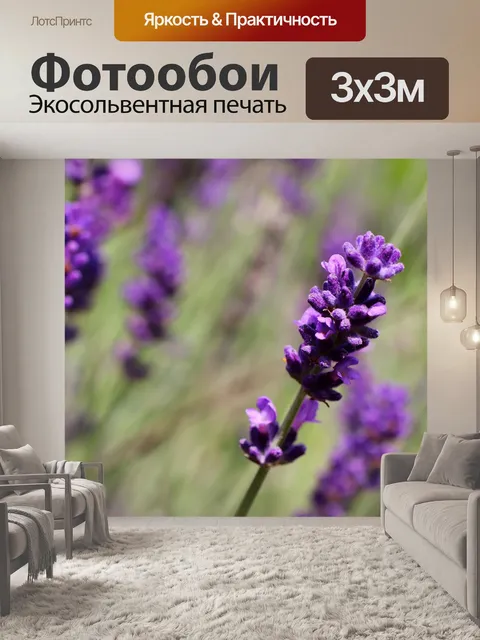 Фотообои Цветы лаванда