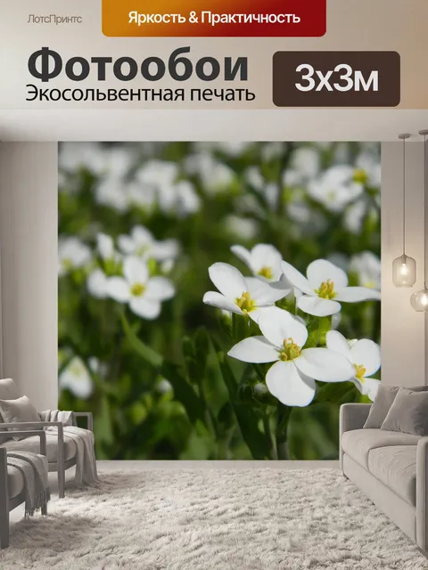 Фотообои Цветы