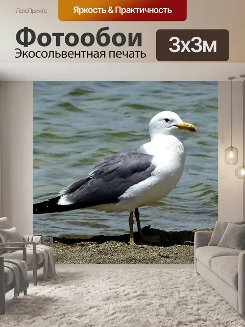 Фотообои Птица