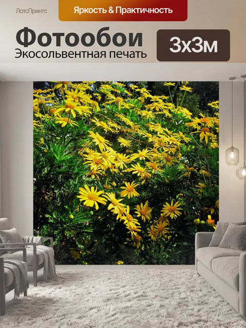 Фотообои летние ромашки