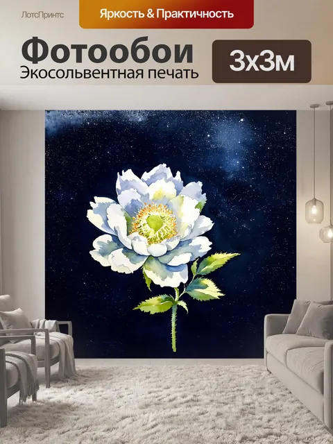 Фотообои исследуя контраст между белым пионом и темной глубиной космоса