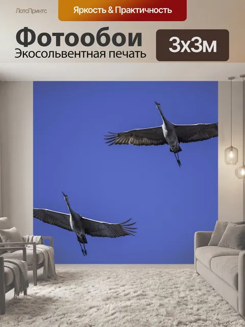 Фотообои Сэндвилл-краны в полете