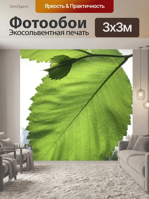 Фотообои Листья