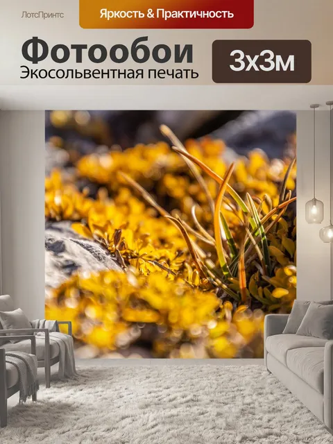 Фотообои Листья