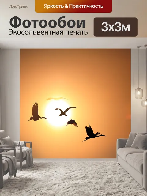 Фотообои Закат днем