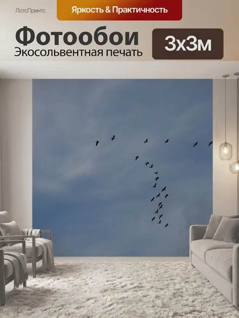 Фотообои Птицы