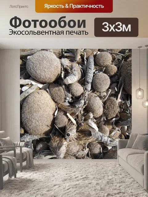 Фотообои Пляж