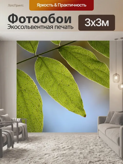 Фотообои Листья