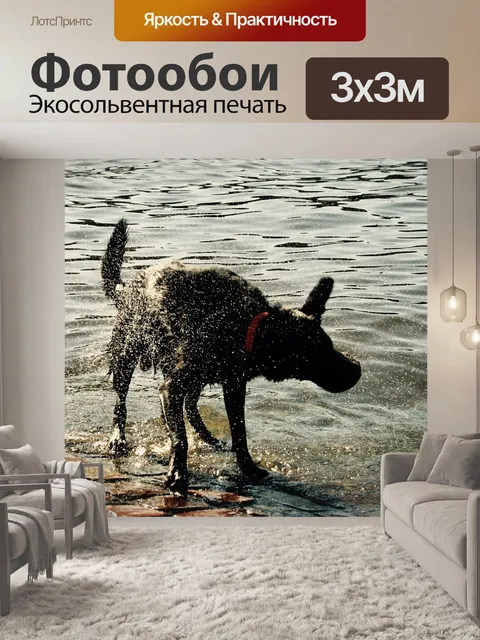 Фотообои Собака