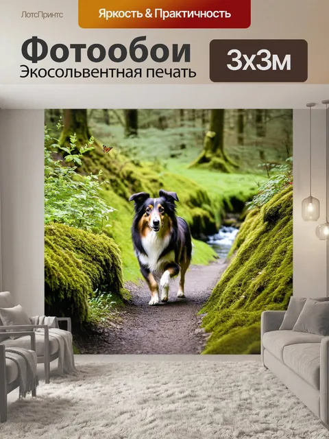 Фотообои колли, исследующий узкую тропинку, окруженную зелеными кустами и высокими деревьями, усыпанными мхом