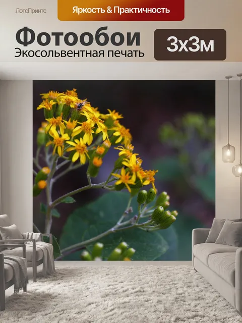 Фотообои Цветы