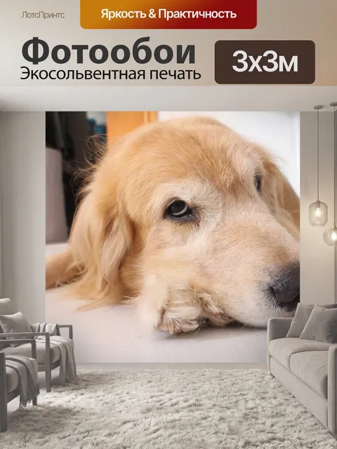 Фотообои Собака