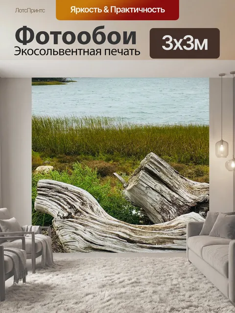 Фотообои Древесина